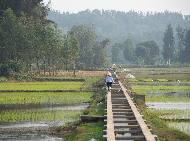 Vietnam oil and gas project